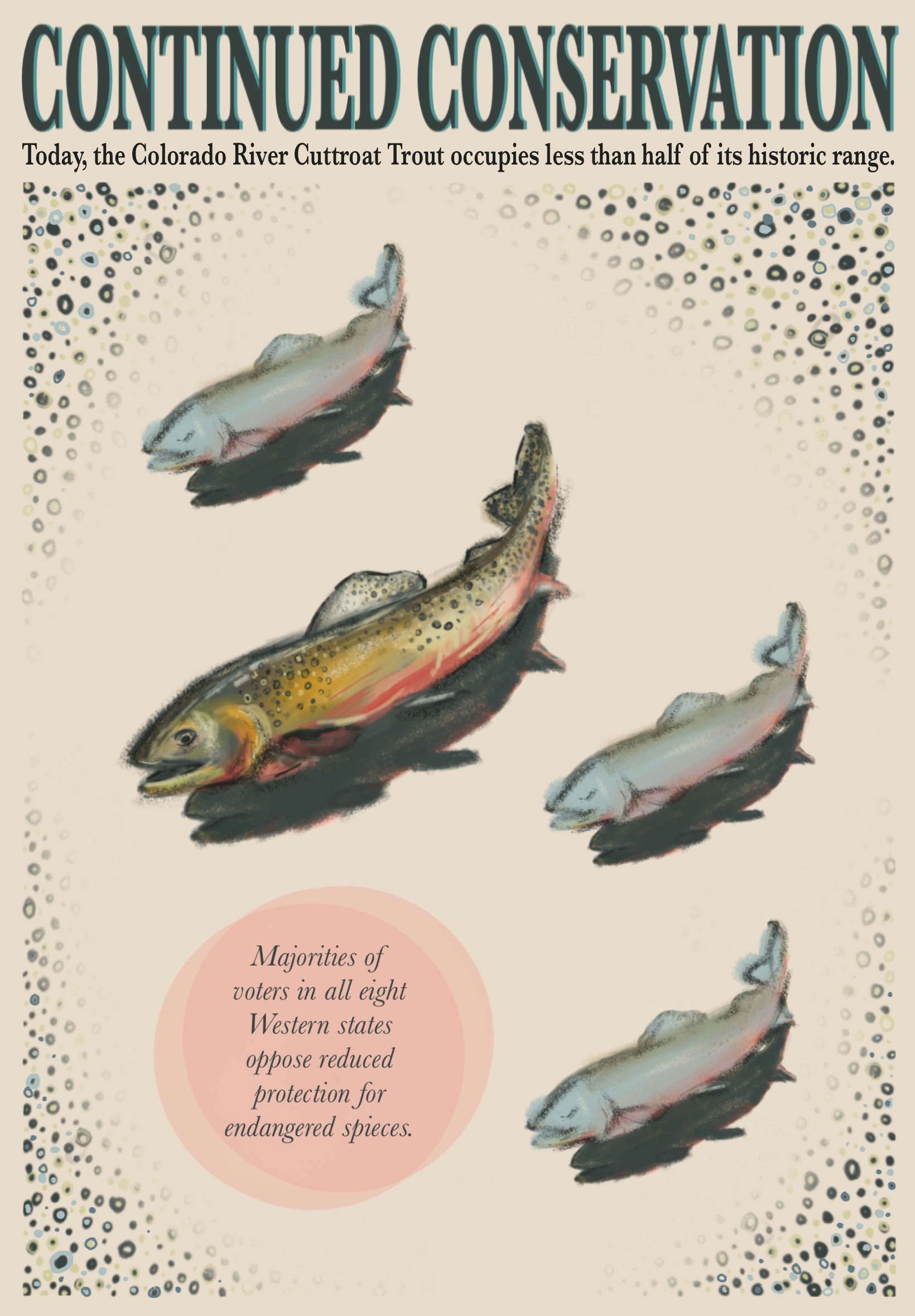 Continued Conservation